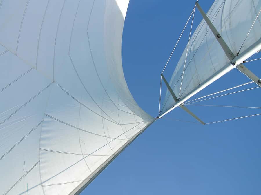 Bay of Islands: Awesome Day Sailing Tour with Island Stop - Wildlife Along the Route