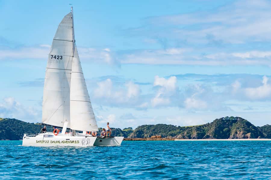 Bay of Islands: Catamaran Sail, Wildlife Island & Lunch - Quick take: what makes this day worthwhile