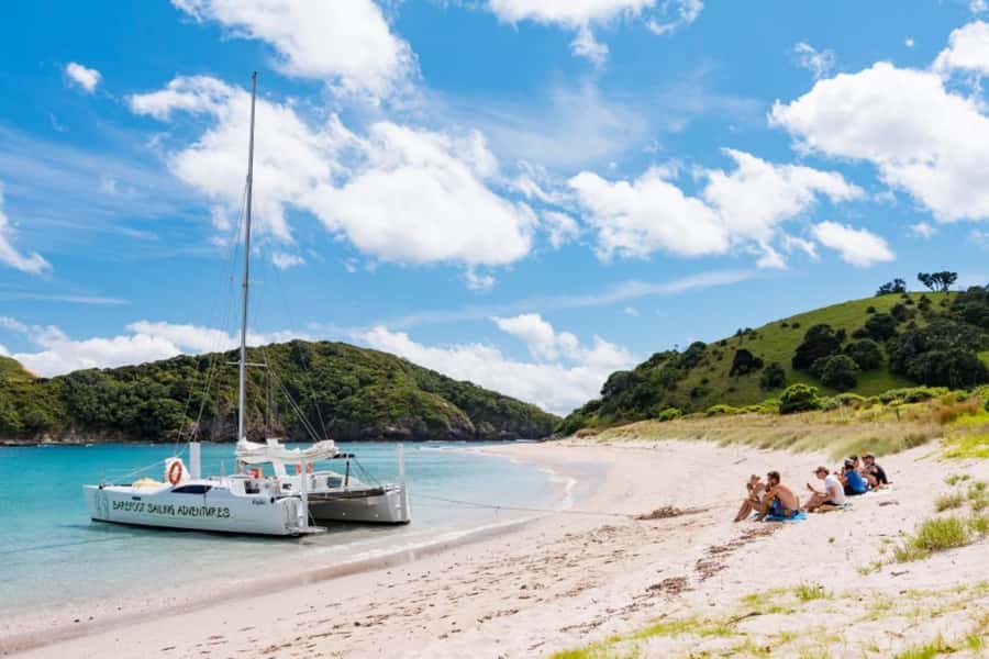 Bay of Islands: Catamaran Sail, Wildlife Island & Lunch - Practical advice before you leave Paihia