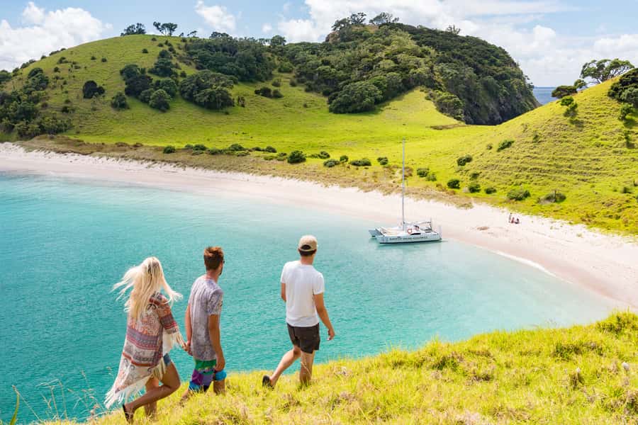 Bay of Islands: Catamaran Sail, Wildlife Island & Lunch - Four hours sailing through the Bay of Islands