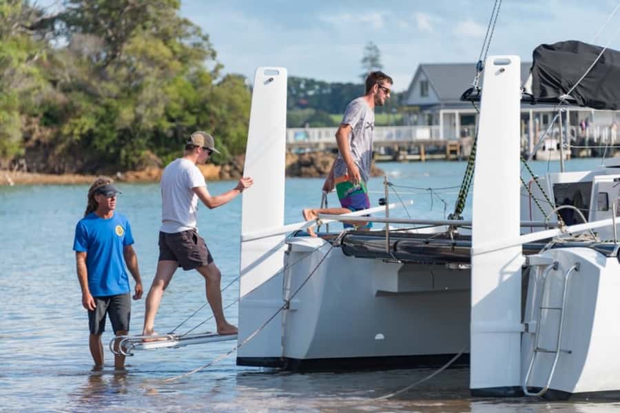 Bay of Islands: Catamaran Sail, Wildlife Island & Lunch - The two-hour island stop is the heart of the trip