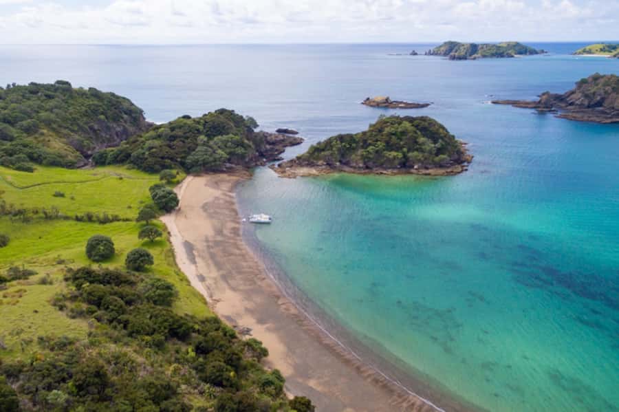 Bay of Islands: Catamaran Sail, Wildlife Island & Lunch - Picnic lunch, morning tea, and the little comforts