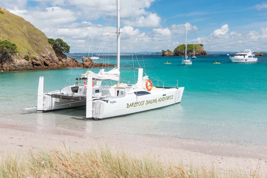 Bay of Islands: Catamaran Sail, Wildlife Island & Lunch - Is $134 good value?