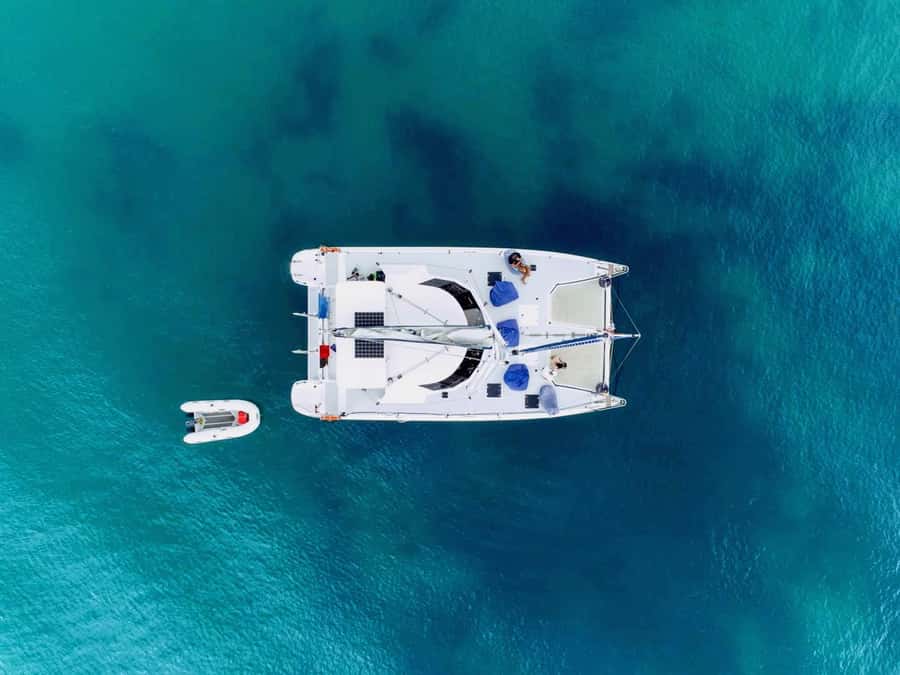 Bay of Islands: Day Sailing Cruise with Island Stop & Lunch - Key points to know before booking