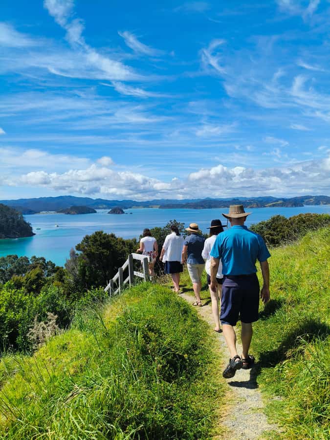 Bay of Islands: Day Sailing Cruise with Island Stop & Lunch - Leaving Paihia for the open bay