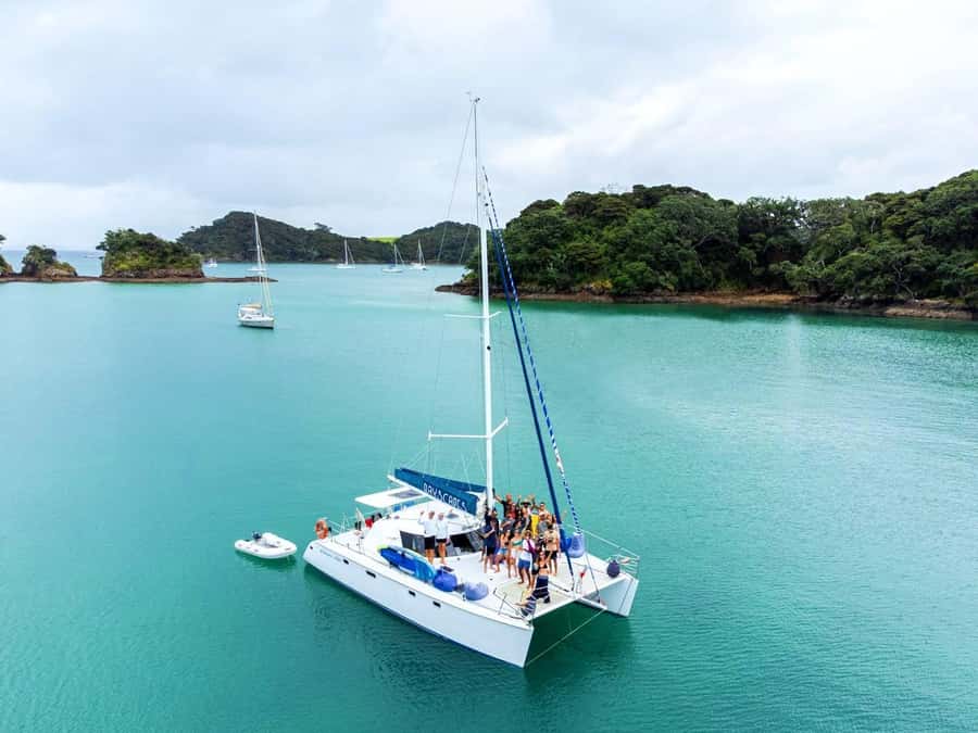 Bay of Islands: Day Sailing Cruise with Island Stop & Lunch - Who will enjoy this cruise most