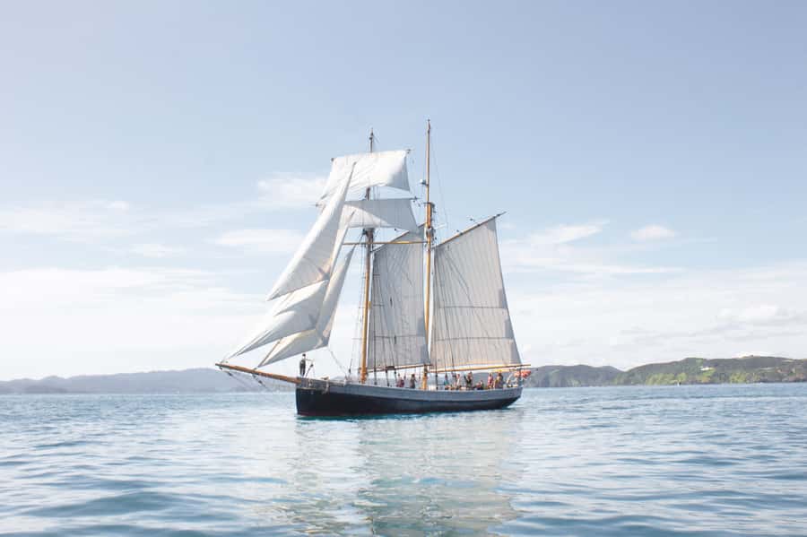 Bay of Islands: Full-Day Tall Ship Sailing Excursion - Why this tall ship feels different from a standard cruise
