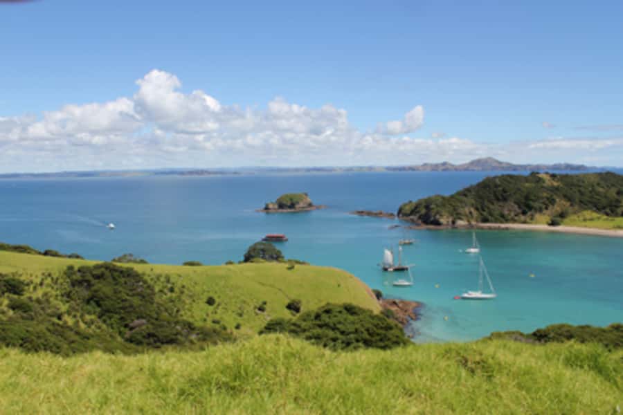 Bay of Islands: Full-Day Tall Ship Sailing Excursion - BBQ lunch with a practical, relaxed feel