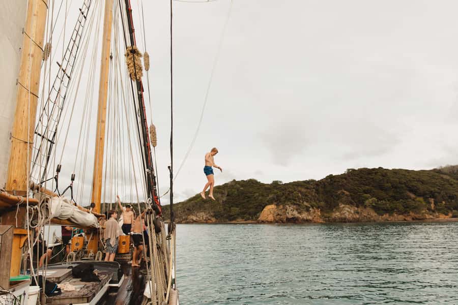 Bay of Islands: Full-Day Tall Ship Sailing Excursion - Who will enjoy this most