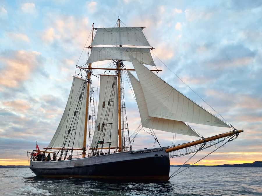 Bay of Islands: Late Afternoon Sailing Cruise - Helping raise the sails