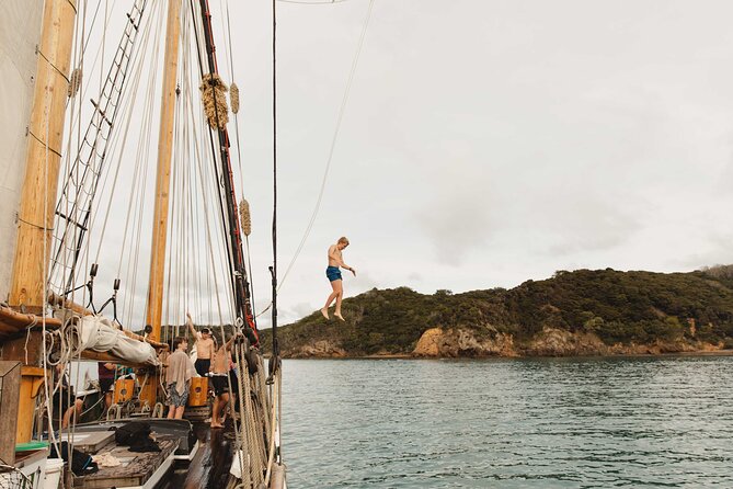 Bay of Islands Tall Ship Sailing on R. Tucker Thompson Including BBQ Lunch - The island stop, swimming, and the rope swing