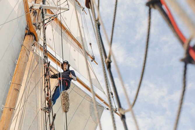 Bay of Islands Tall Ship Sailing on R. Tucker Thompson Including BBQ Lunch - Wildlife, weather, and what you may see