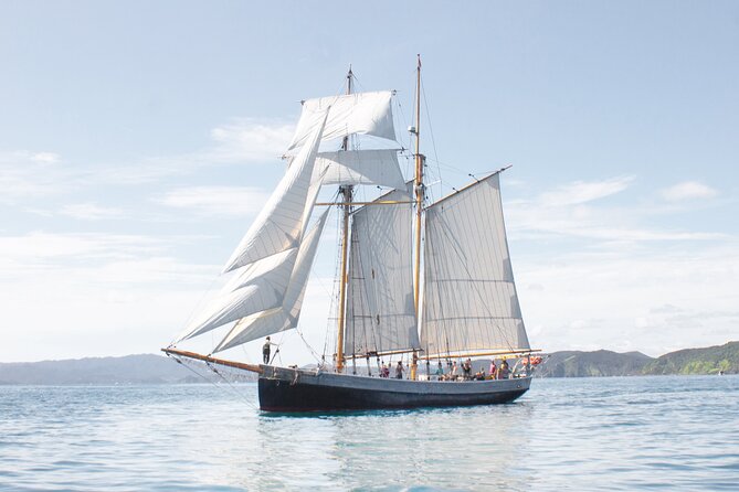 Bay of Islands Tall Ship Sailing on R. Tucker Thompson Including BBQ Lunch - Morning tea and the easy rhythm of the first hours