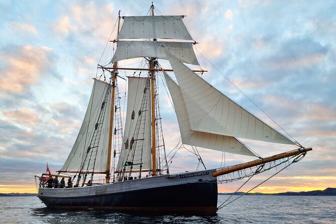 Bay of Islands Tall Ship Sundowner Sailing - Key things to know before you sail