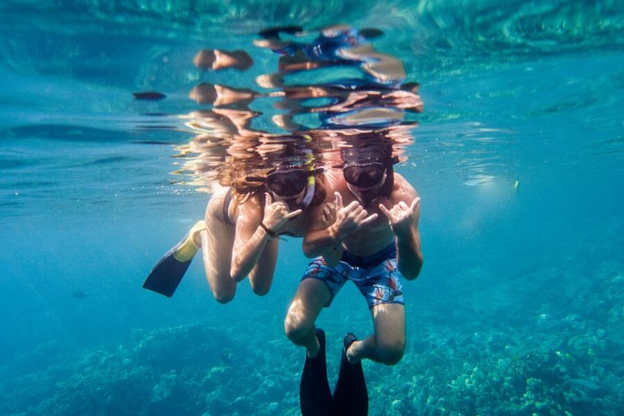 Big Island: Morning Snorkel Sail to Captain Cook's Monument - What you can see below the surface