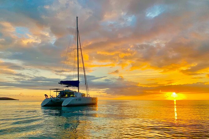 Bimini Charters - Private 3hr Catamaran Charters, Sail & Snorkel - Wildlife from the deck and the water