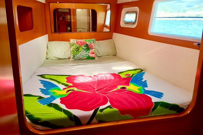 Bimini Charters - Private 3hr Catamaran Charters, Sail & Snorkel - What the three hours feel like