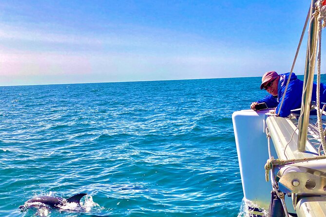 Bimini Charters - Private Luxury Catamaran 3-hr Sunset Sails - Dolphin watching, turtles, and the Key West coast