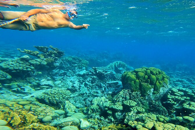 Blue Parrot Snorkel Sail with 4 course lunch or dinner in Aruba - A private Aruba sail instead of a crowded day boat