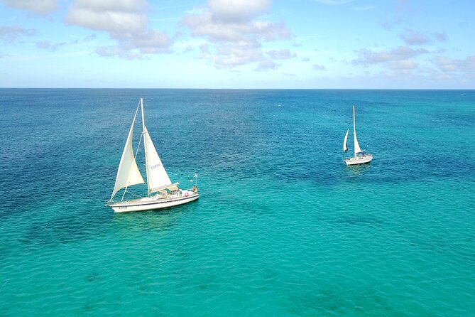 Blue Parrot Snorkel Sail with 4 course lunch or dinner in Aruba - Weather, timing, and practical details