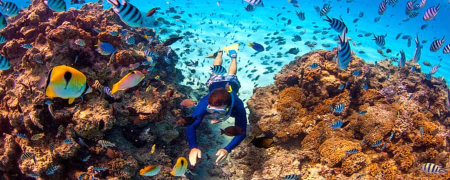 Bora Bora: Half Day Catamaran Sailing & Snorkelling - Key points to know before booking