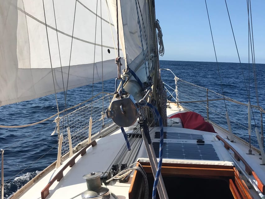 Bretagne Brest : Private Sailing charter Mer d’Iroise - Sorting out the departure details