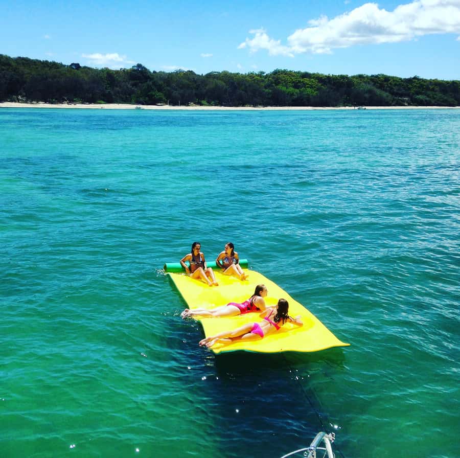 Brisbane: Half-Day Moreton Bay Sailing Cruise with Antipasto - Key points to know before you book