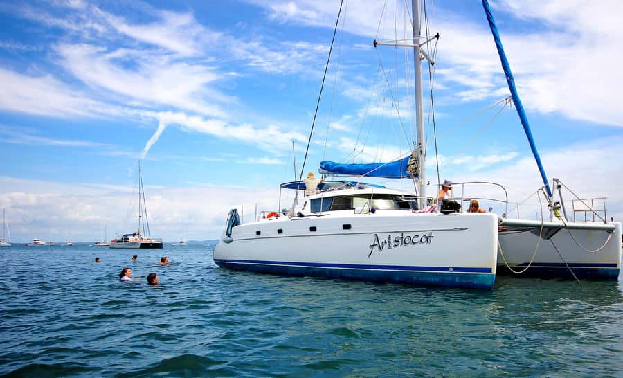 Brisbane: Half-Day Moreton Bay Sailing Cruise with Antipasto - What happens at the anchorage