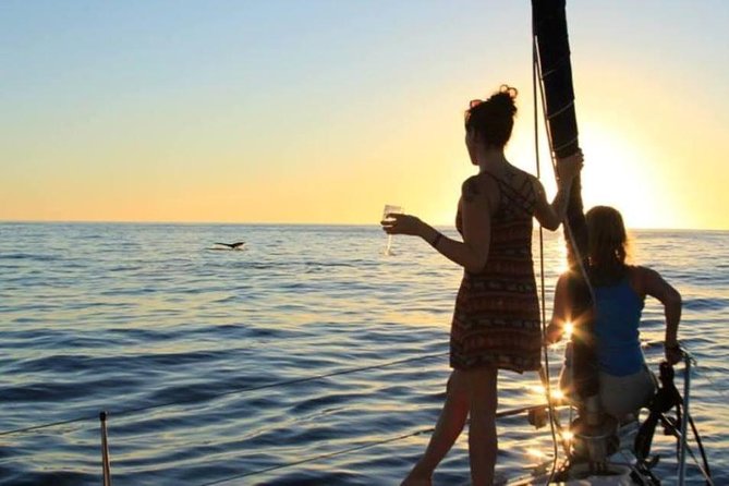 Cabo San Lucas Sunset Sailing Shared Cruise - Is the $105 price good value?