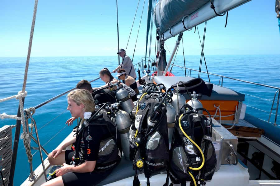 Cairns: Green Island & Great Barrier Reef Sailing Tour - Who should choose this day on the water?