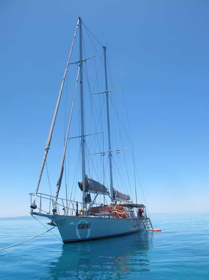Cairns: Green Island & Great Barrier Reef Sailing Tour - Optional scuba sessions for beginners and certified participants