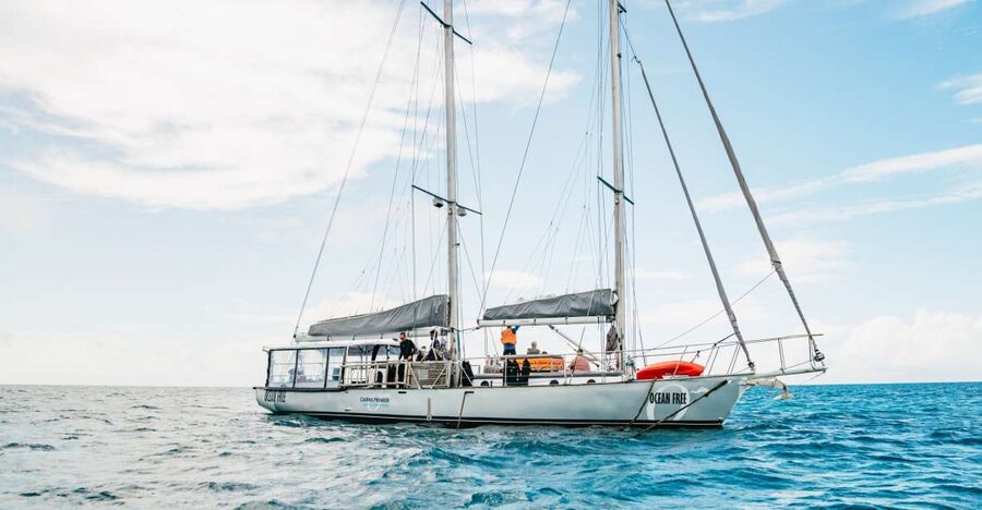Cairns: Green Island & Great Barrier Reef Sailing Tour - The afternoon reef session and sail back