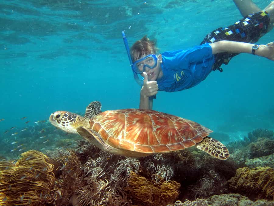 Cairns: Ocean Spirit Great Barrier Reef Full Day Tour - Key points to know before you book