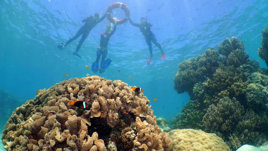 Cairns: Ocean Spirit Great Barrier Reef Full Day Tour - Food, comfort, and the long day at sea