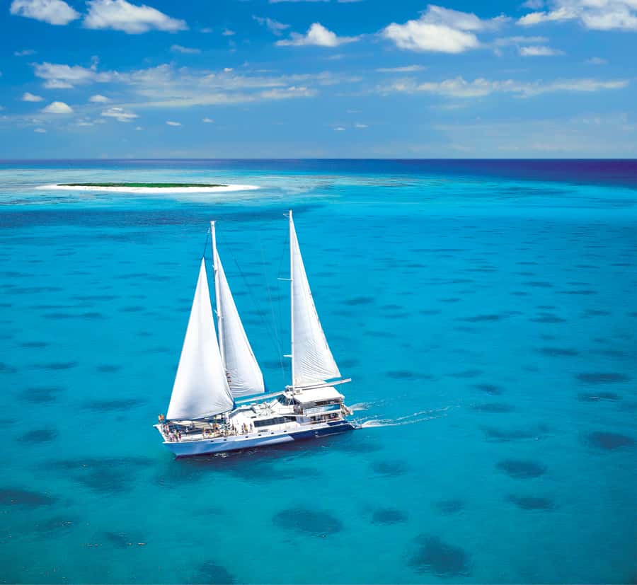 Cairns: Ocean Spirit Great Barrier Reef Full Day Tour - Why Michaelmas Cay is more than a beach stop