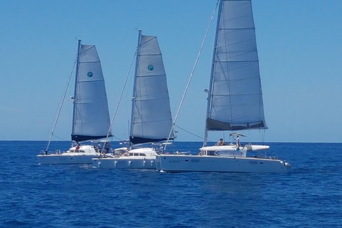 Cala d'Hort Sailing Adventure - Swimming, Snorkeling, and Paddleboarding