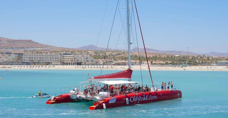 Caleta de Fuste: Catamaran Sailing Experience - The sail toward Pozo Negro Bay