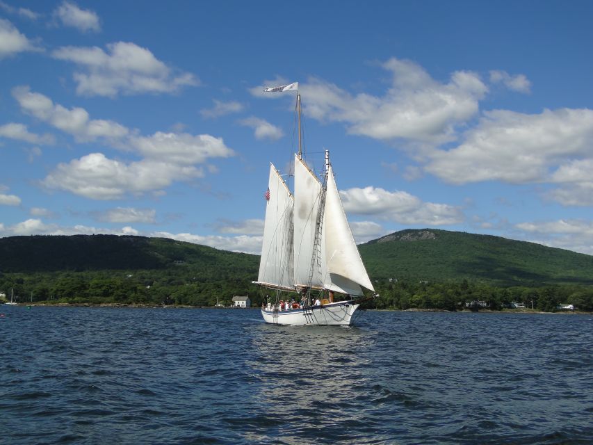 Camden: Historic Schooner Day Sailing Trip - Cruising into Penobscot Bay