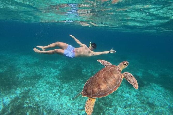 Cancun Catamaran: Sail to Isla Mujeres + Buffet & Drinks - The open bar and the mood on board
