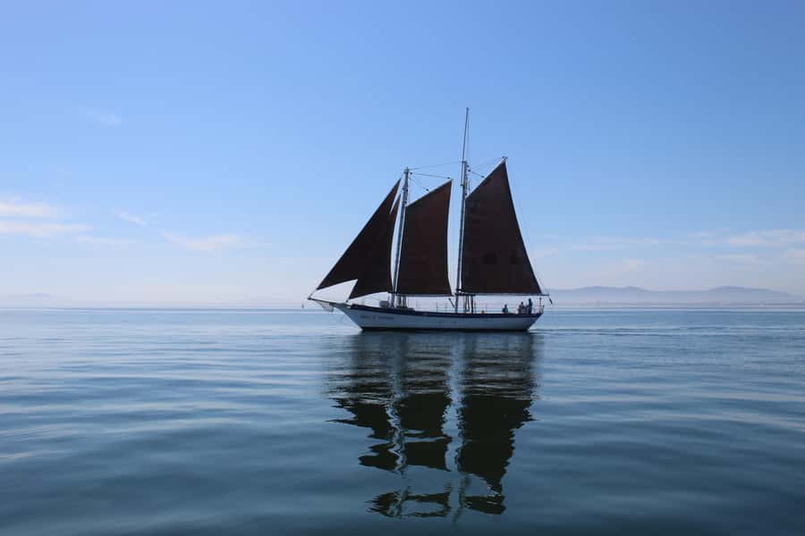 Cape Town: 1 Hour Table Bay Sailing Tour - Returning through the shelter of Granger Bay