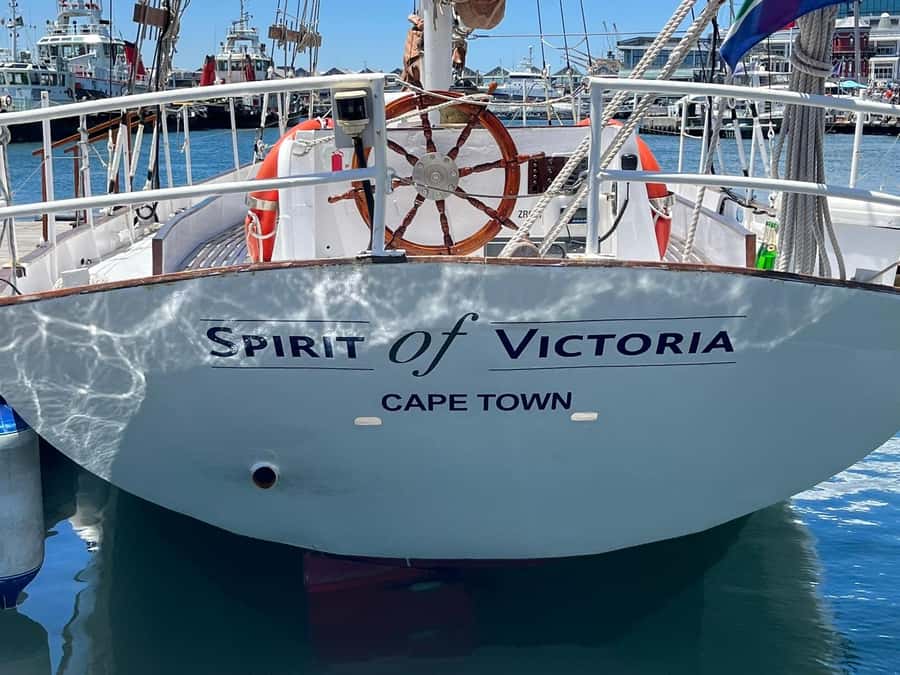 Cape Town: 1 Hour Table Bay Sailing Tour - Wildlife can be a bonus, not the main purpose