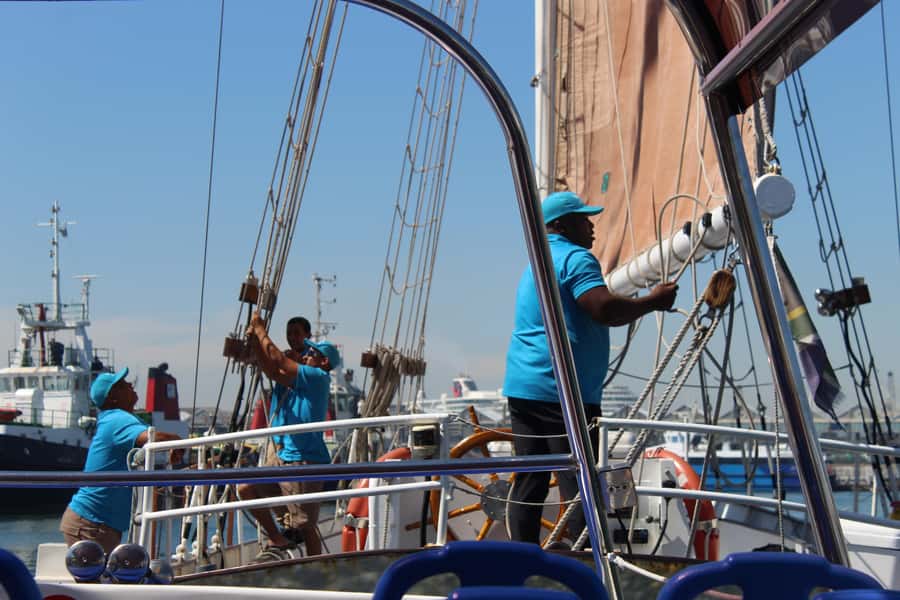 Cape Town: 1 Hour Table Bay Sailing Tour - What the one-hour length means for value