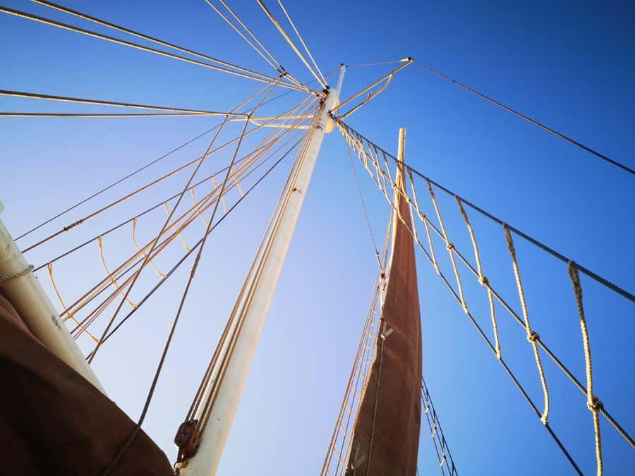 Cape Town: 1 Hour Table Bay Sailing Tour - Why the crew matters on a small boat
