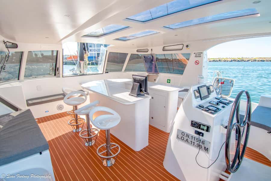 Cape Town Waterfront and Bay: Sailing Trip - Cape Town from the sea