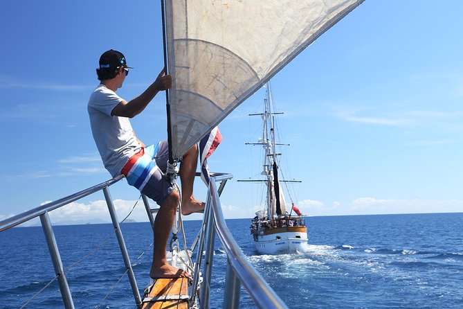 Capt Cook Cruises Super Saver Combo: Day Sail + Dinner Cruise - Who should book this combo?