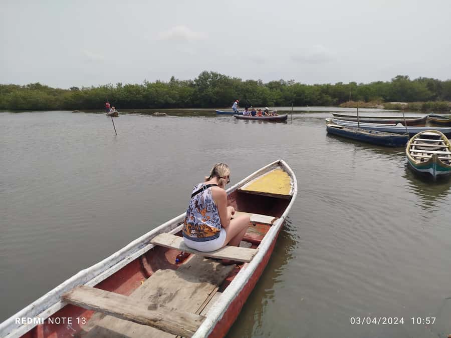 Cartagena: Private Sail in the mangrove GUIDE in ENGLISH - Should you book the mangrove canoe trip?