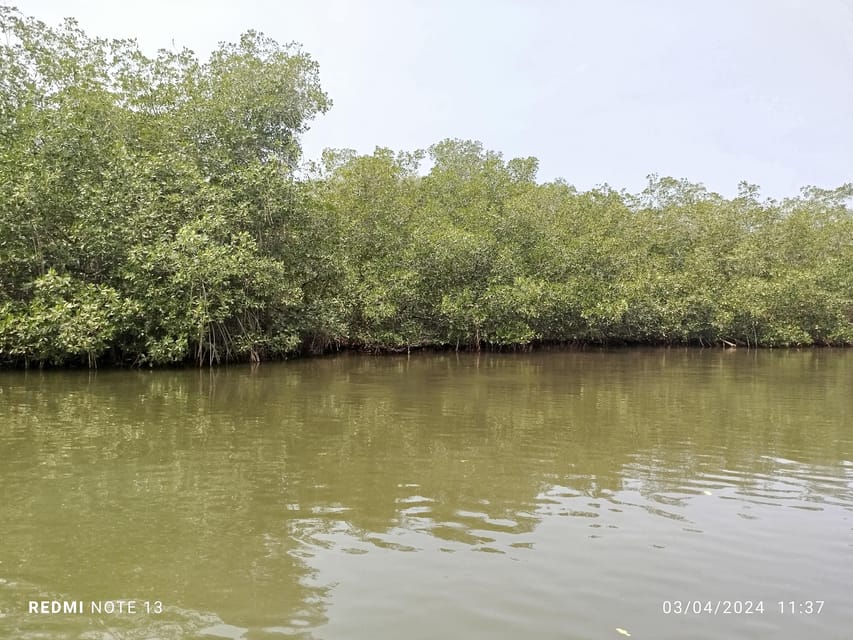 Cartagena: Private Sail in the mangrove GUIDE in ENGLISH - The English guide matters here