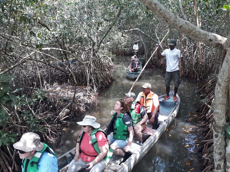 Cartagena: Sail in the mangroves of Cartagena - Why the mangroves make a good Cartagena break