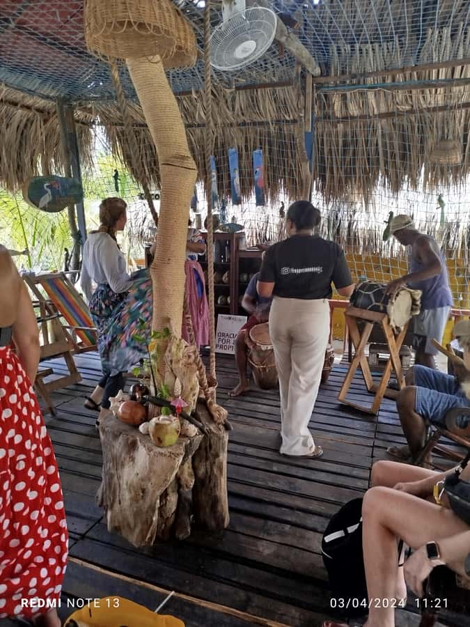 Cartagena: Sail in the mangroves of Cartagena - Birds, crabs, and the best reasons to bring patience