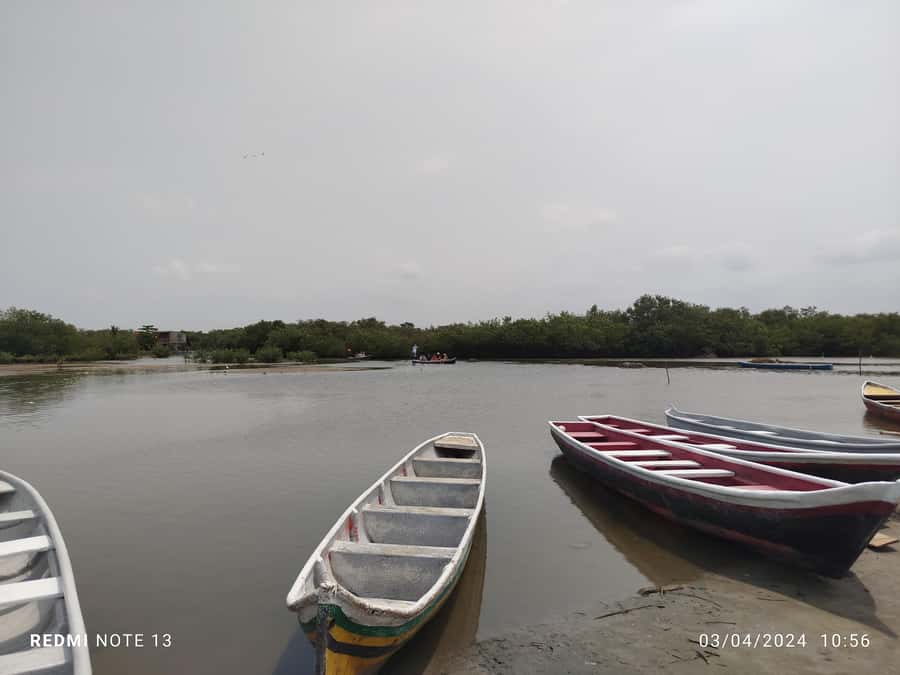 Cartagena: Sail in the mangroves of Cartagena - What the $23 price really covers